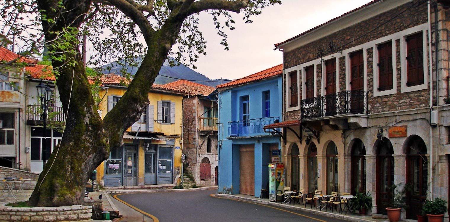 Ανασκόπηση των δράσεων του Συλλόγου Νέων Ανδρίτσαινας ‘’Παρράσιοι’’ το 2020