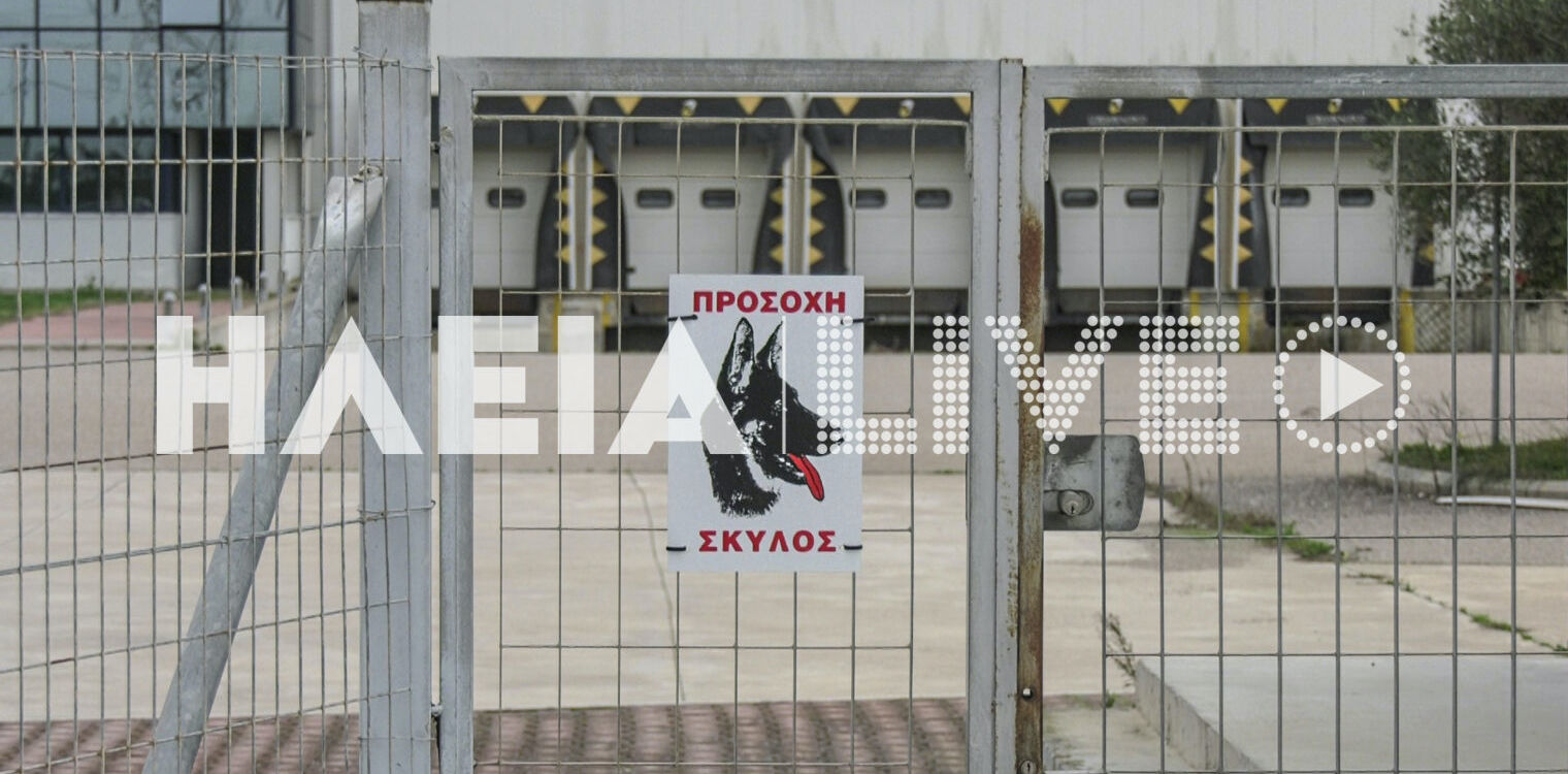 Λεχαινά: Τι δήλωσε στο Mega ο εκπρόσωπος του συσκευαστηρίου για το θάνατο του 56χρονου