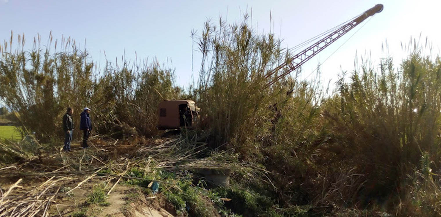 Καθαρισμός της κομβικής τάφρου στο Βαρθολομιό