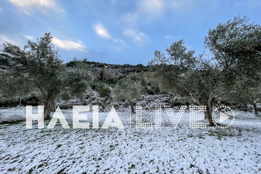 xionias ileia 5