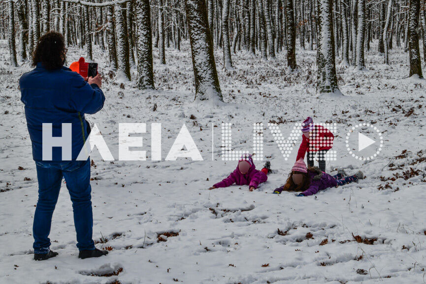 foloi snow 12a