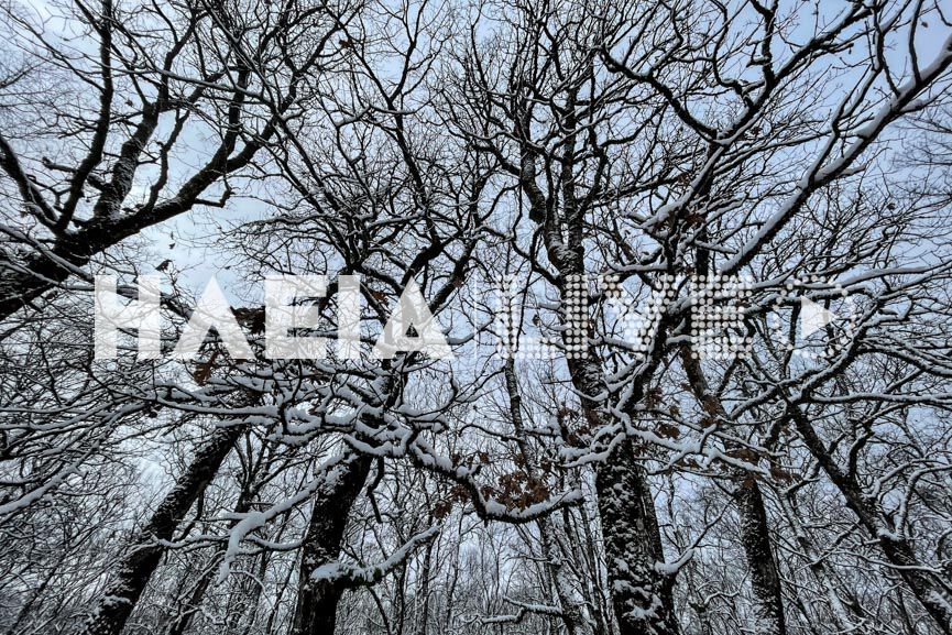foloi snow 16