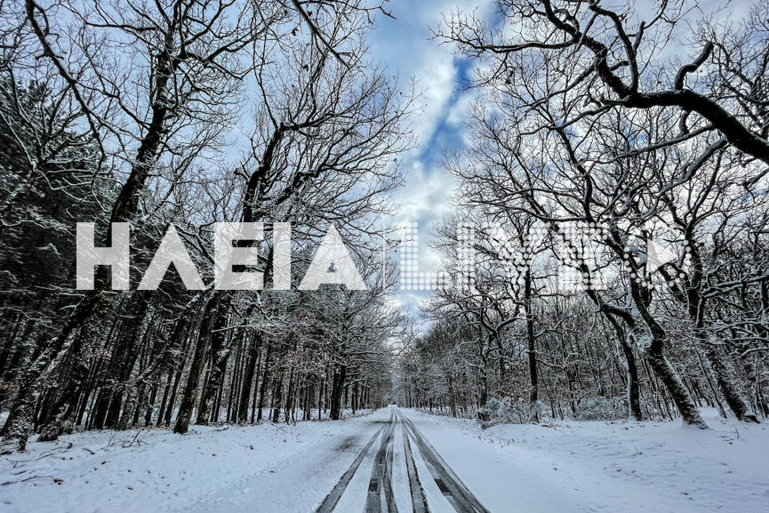 foloi snow 18