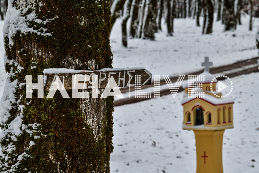 foloi snow 2
