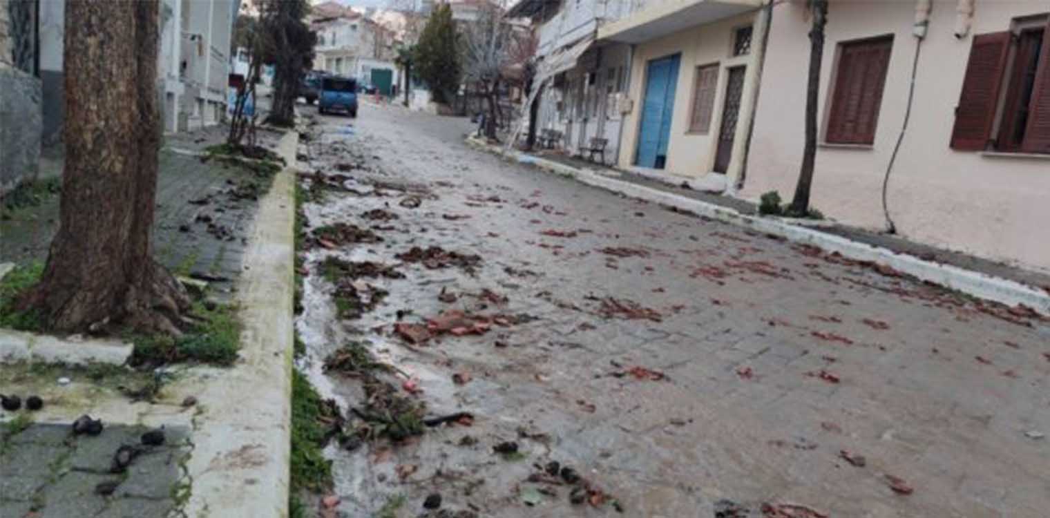 Σέρρες: Ανεμοστρόβιλος σάρωσε την πόλη - Ξεριζώθηκαν δέντρα