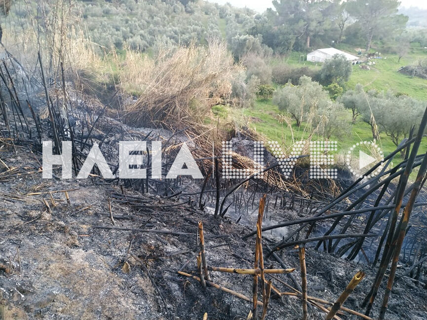 fotia vrina 6