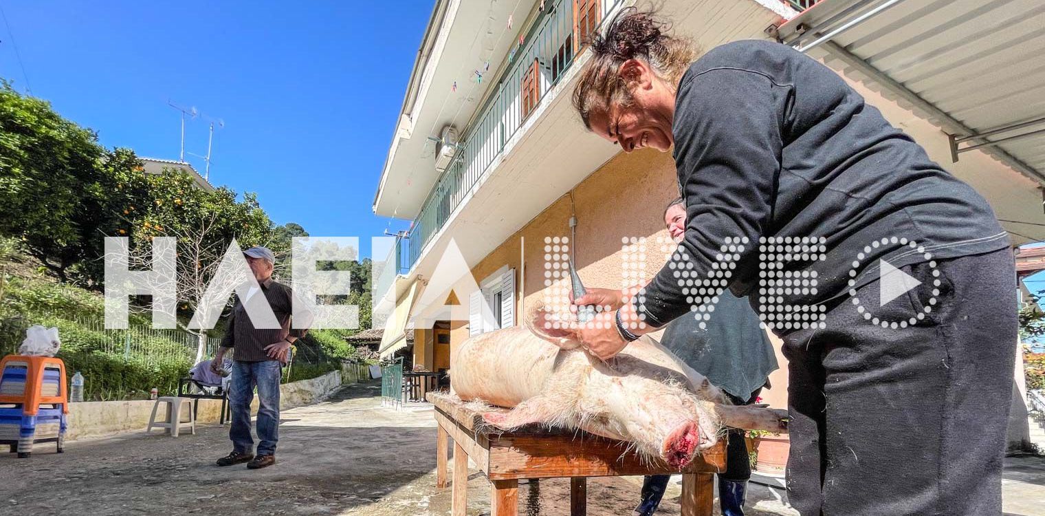 Μακρίσια: Υποτονική χοιροσφαγή εν μέσω πανδημίας