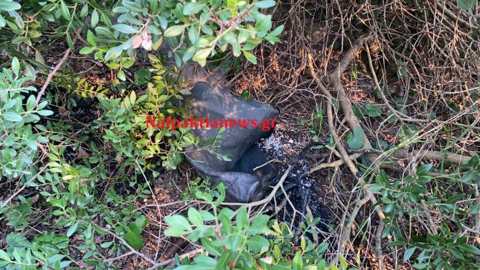 Ναυπακτία: Προσπάθησε να βάλει φωτιά με μπιτόνι πετρέλαιο δίπλα στα σπίτια - Τρίτη πυρκαγιά μέσα σε τρείς μέρες (video)