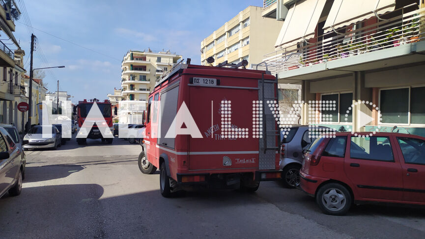 fotia prig 3