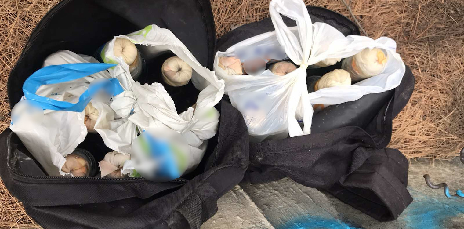Πάτρα: Εντοπίστηκαν 17 μολότοφ σε δασώδη περιοχή