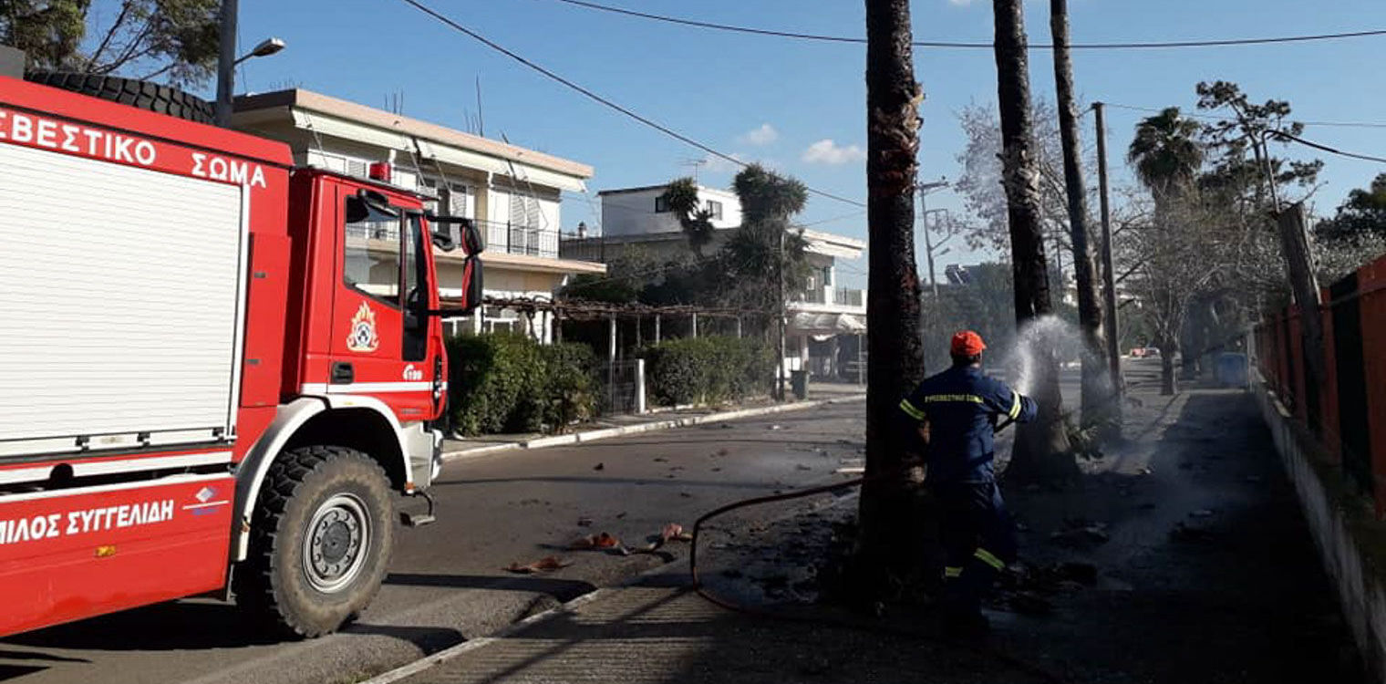 Βαρθολομιό: 'Εβαλε φωτιά στους φοίνικες έξω από το 1ο δημοτικό