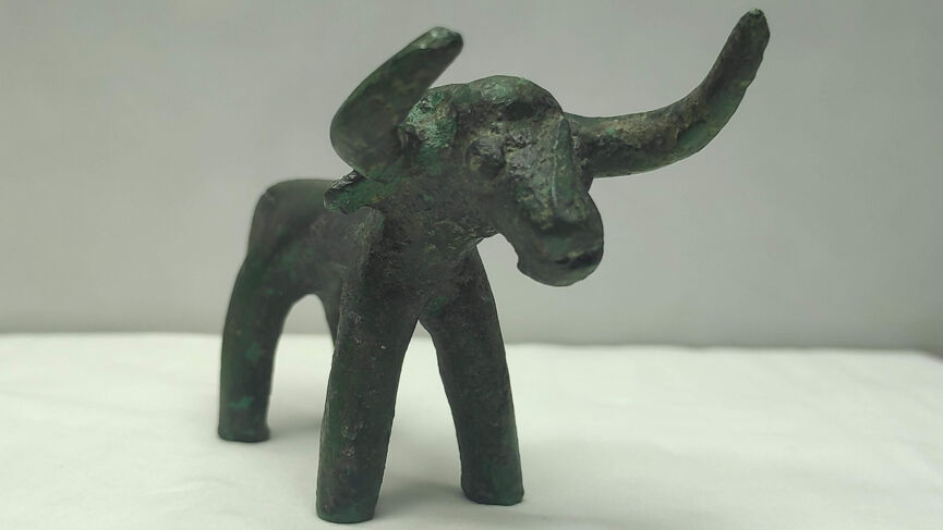 tauros 9