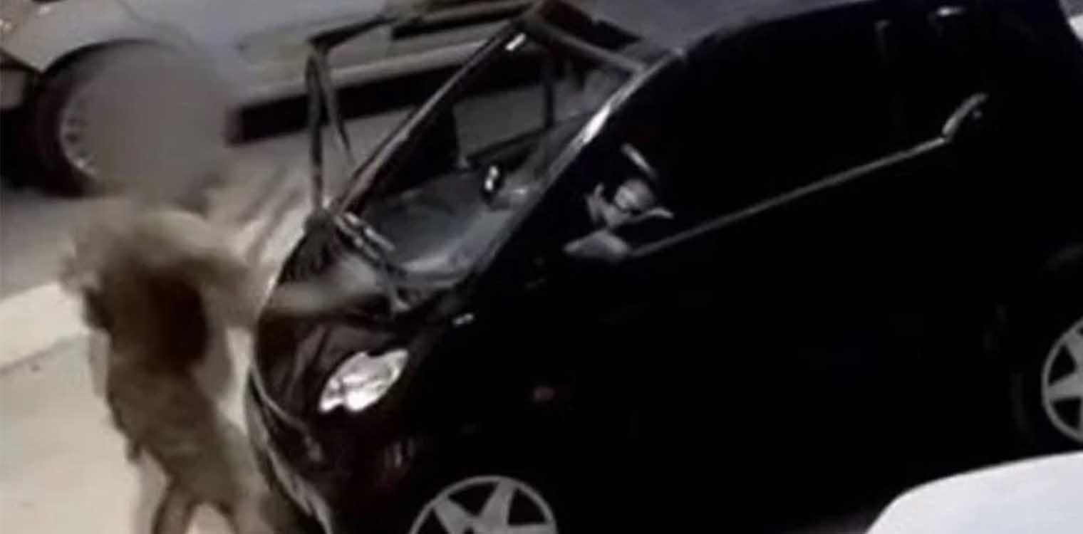 Πάτρα: Ανατροπή από το βούλευμα του Συμβουλίου Πλημμελειοδικών για το φονικό στο Σούλι