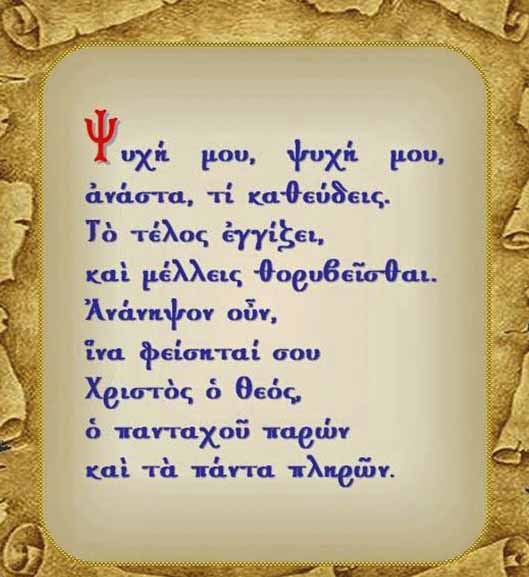 144 nisteia small