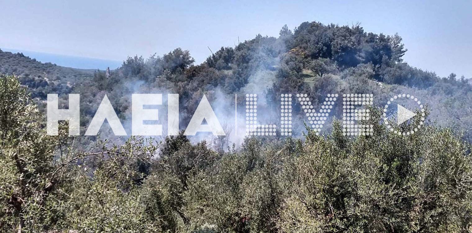 Αρήνη Ζαχάρως: Πυρκαγιά σε αγροτοδασική έκταση