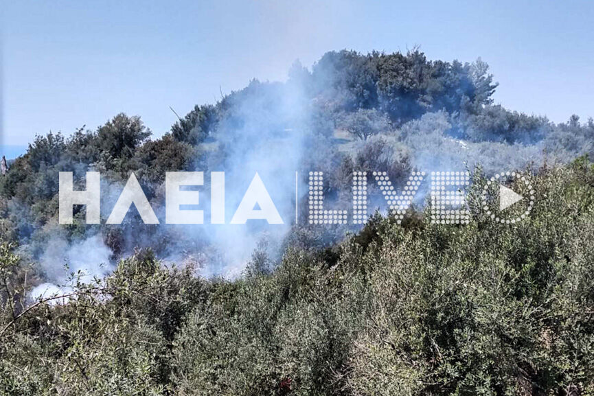 fotia arini 2