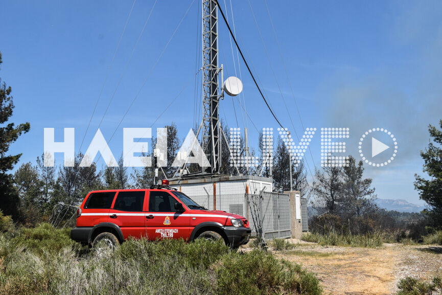 fotia xavari new 5