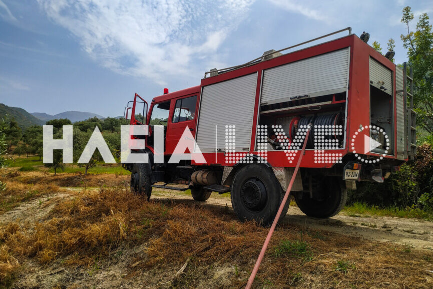 fotia kalidona 2