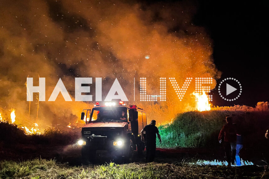 killini fire 6