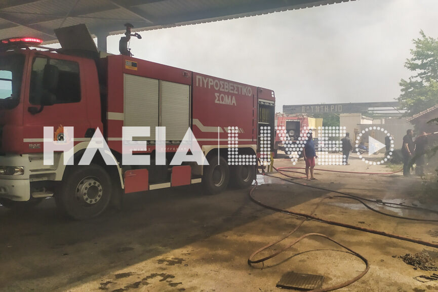 fotia pirgos 2 5