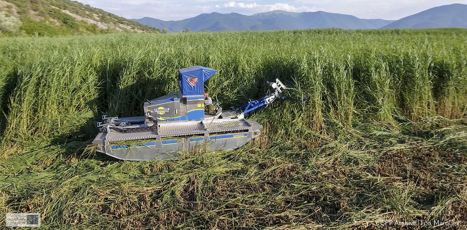 Αμφίβιο όχημα κι ένα ...ντοκιμαντέρ στη «μάχη» για τη διαχείριση των πυκνών καλαμιώνων στην Πρέσπα