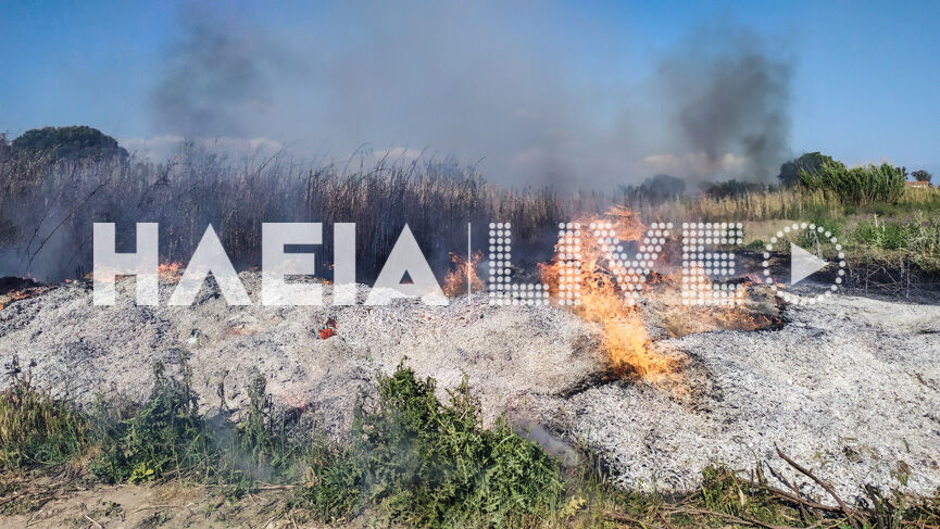 fotia kavouri 5