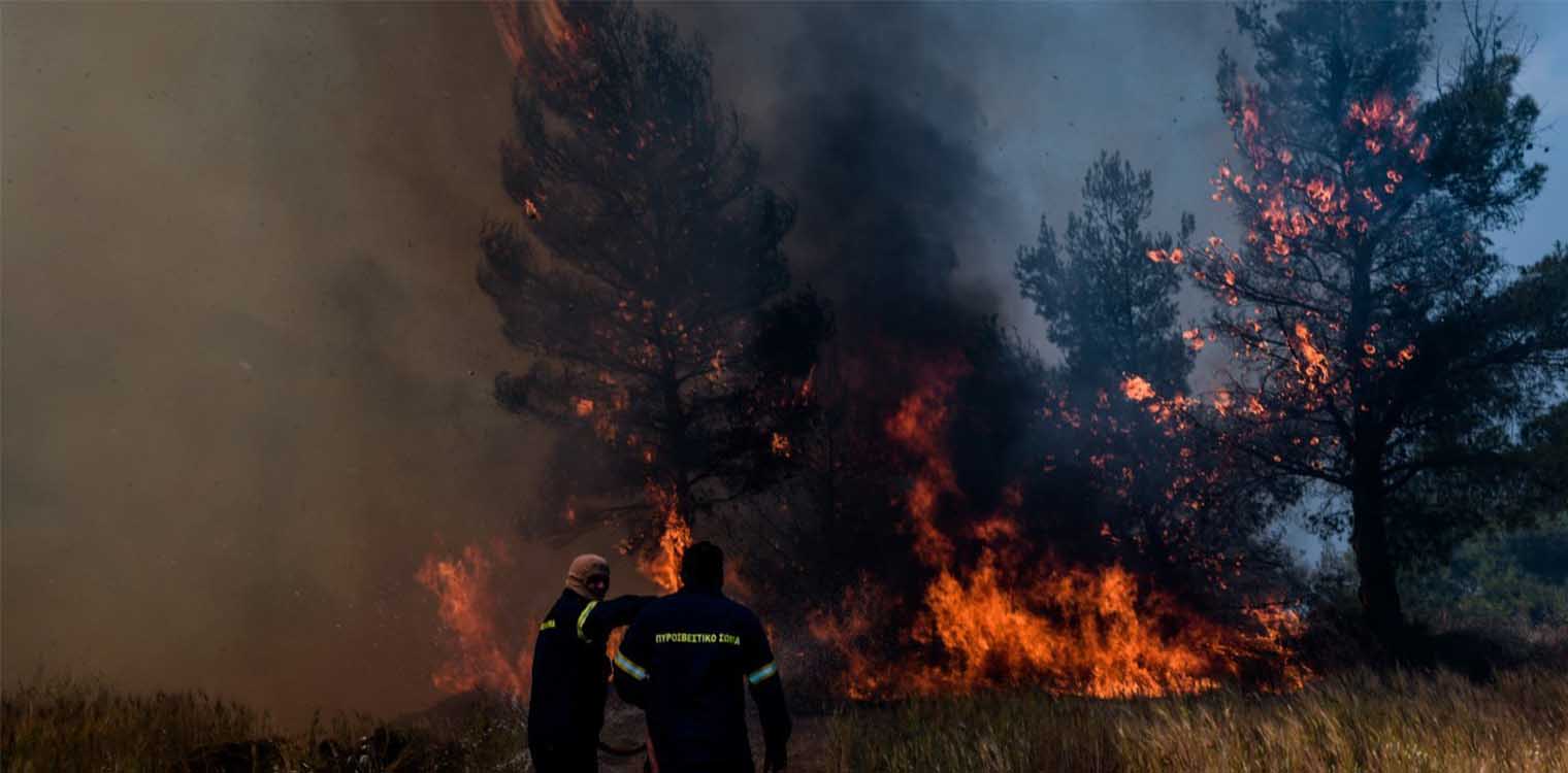 Φωτιά στον Σχίνο: Αναζωπύρωση στα Μέγαρα- Εκκενώνεται ο οικισμός Παπαγιαννέικα