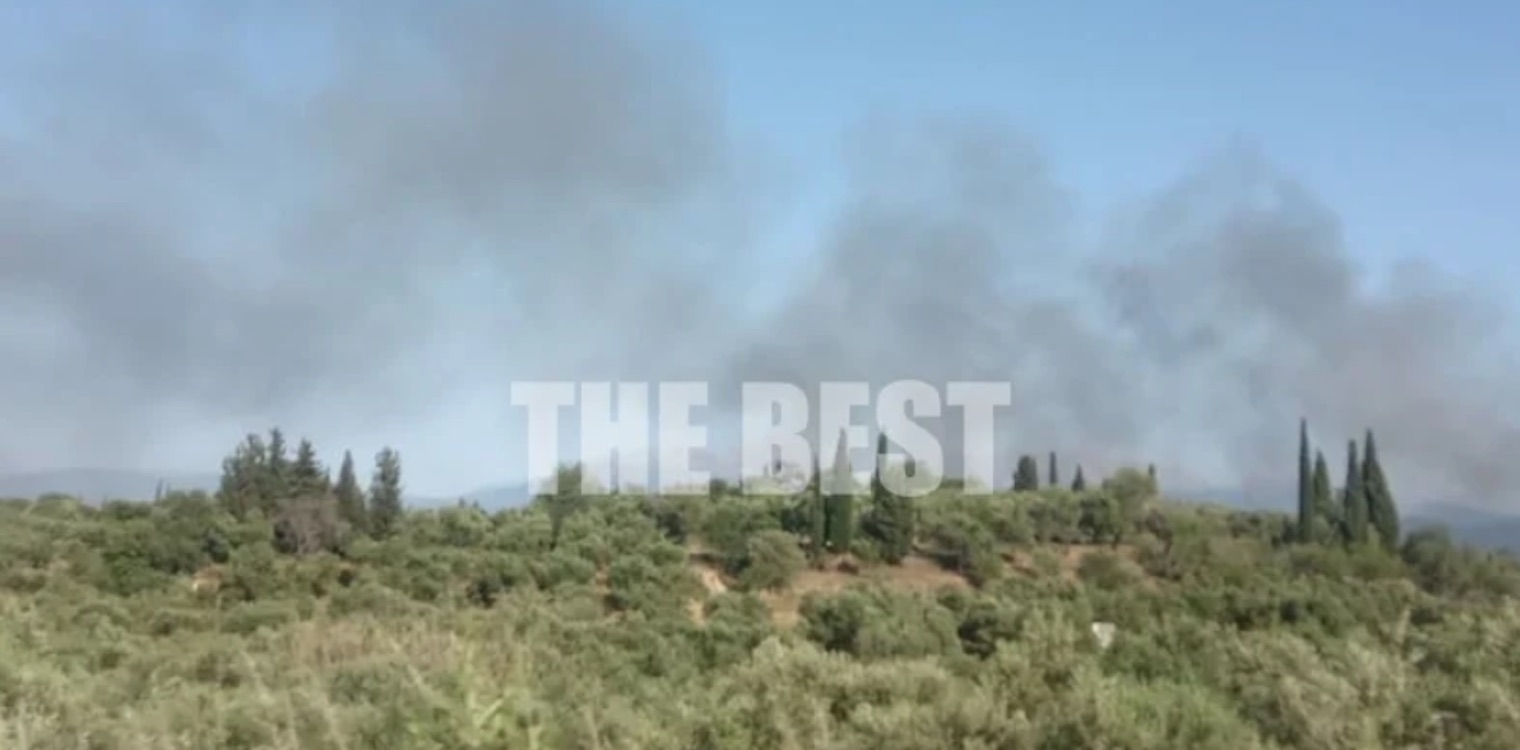 Φωτιά κι επεισόδια στο γήπεδο της Αχαϊκής- Έγιναν 29 προσαγωγές