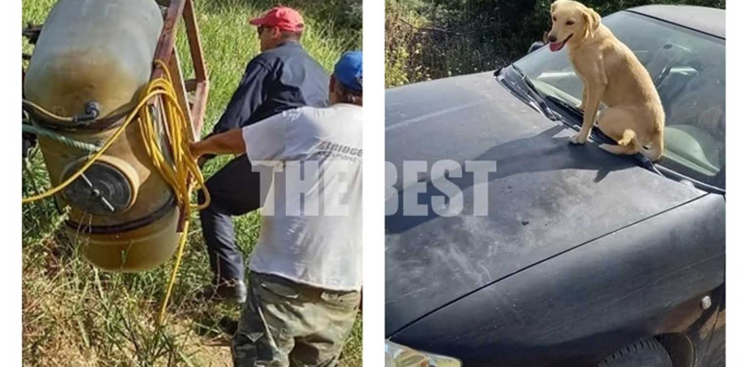 Μαζαράκι Αχαϊας: Ο σκύλος του τραυματία που συγκίνησε- Ανέβηκε στο καπό του ΙΧ. για να φύγει με το αφεντικό του
