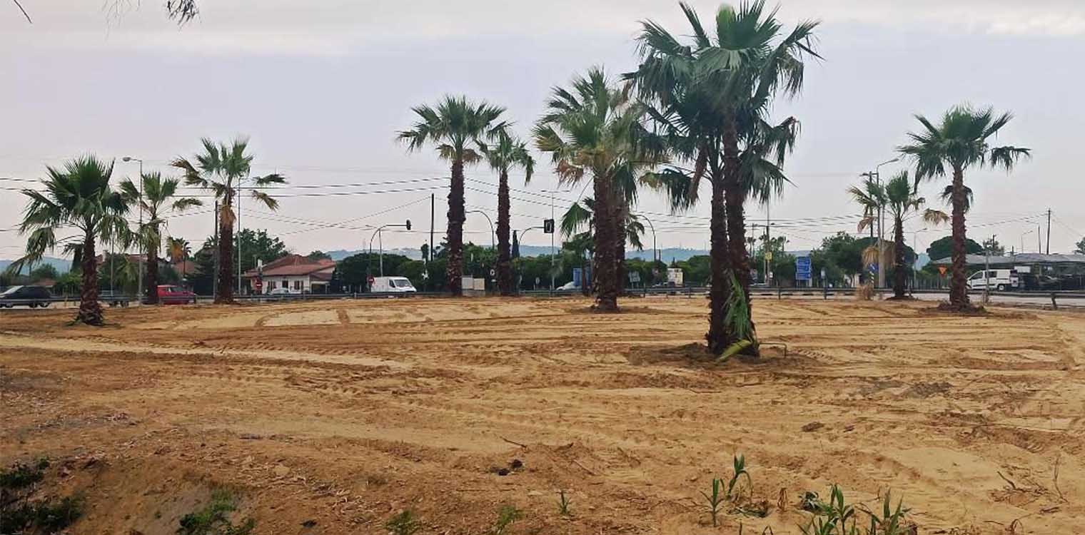 Δήμος Ήλιδας: «Ομόρφυνε» η είσοδος της Αμαλιάδας