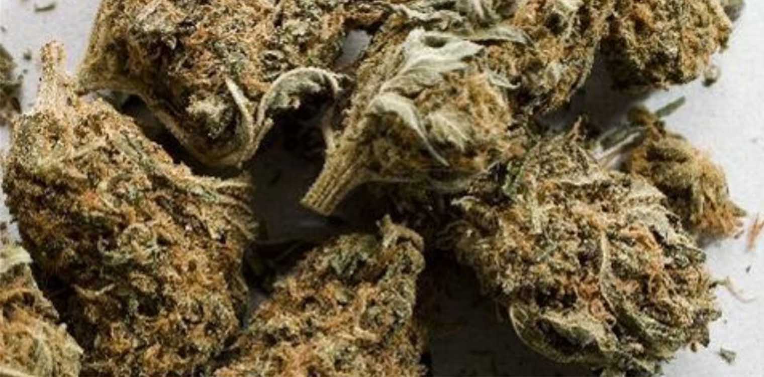 Γρεβενά: Ενάμισι χρόνο μετά βρήκαν ποιοι μετέφεραν 16 κιλά κάνναβης