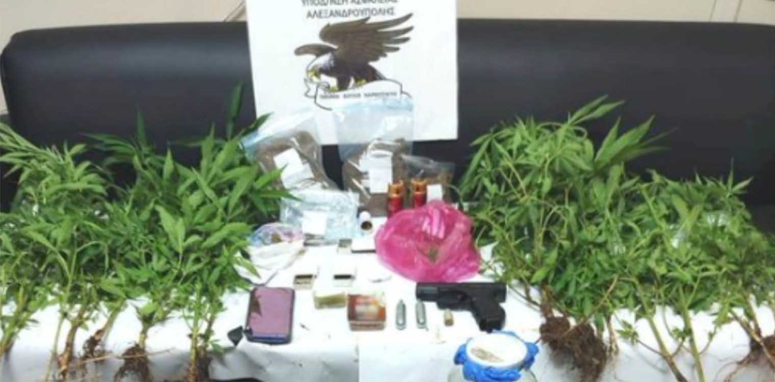 Έβρος: Ο «Jack» βρήκε σύριγγες με ηρωίνη, χασισοφυτεία και όπλα