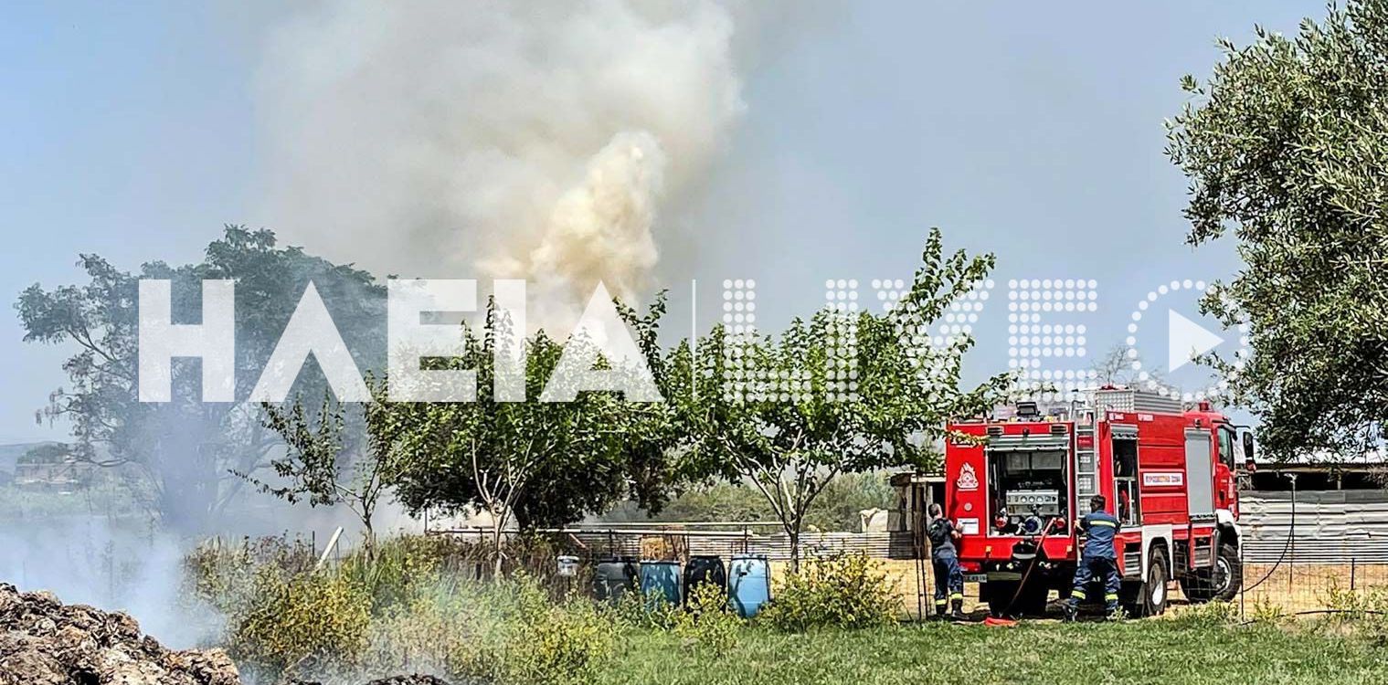 Καταράχι Πύργου: Άμεση επέμβαση της Πυροσβεστικής για πυρκαγιά σε λιβάδι