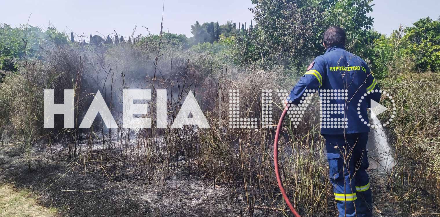 Χανάκια Πύργου: Ο συναγερμός για φωτιά σε σπίτι ήταν... ξερά χόρτα