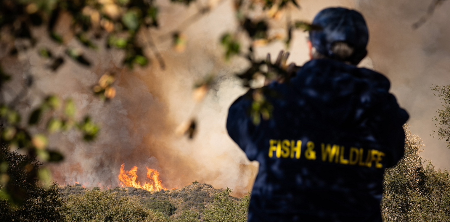Μάχη με τις φλόγες στην Καλιφόρνια: Κάηκαν πάνω από 150.000 στρέμματα