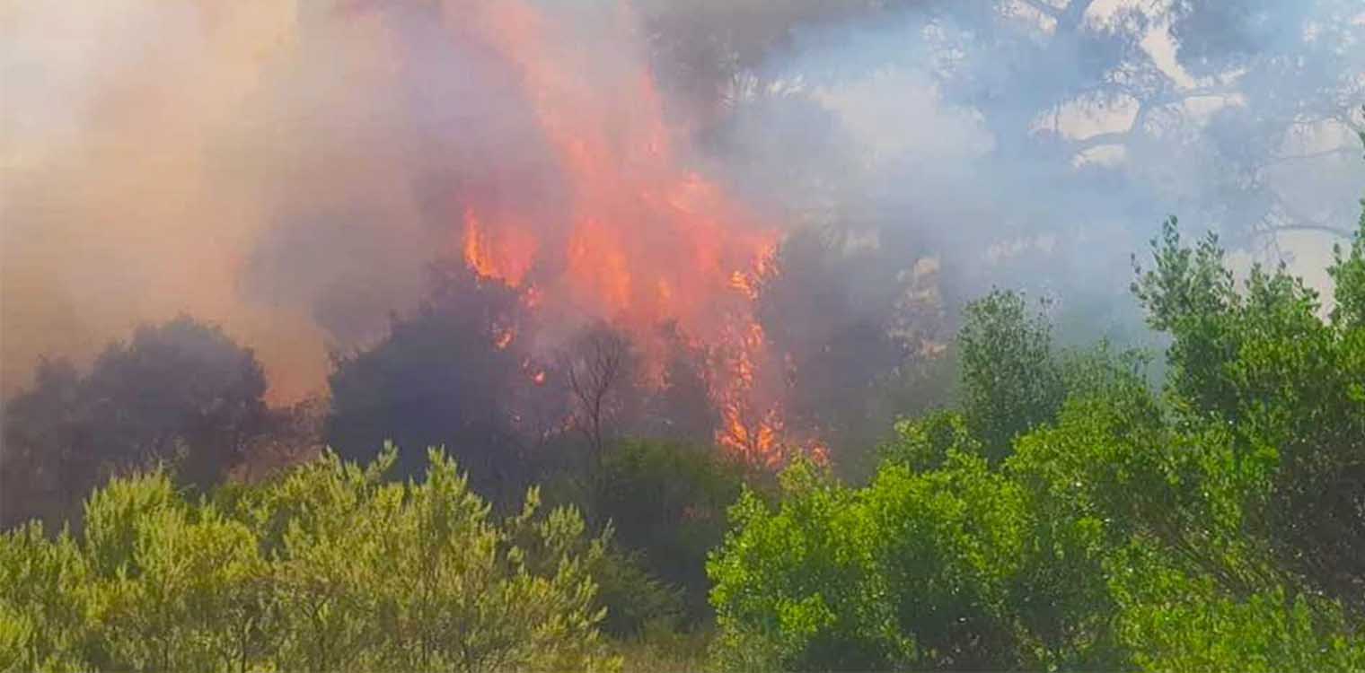 Μεγάλη πυρκαγιά στον Έβρο - Εκκενώνεται η Λευκίμη