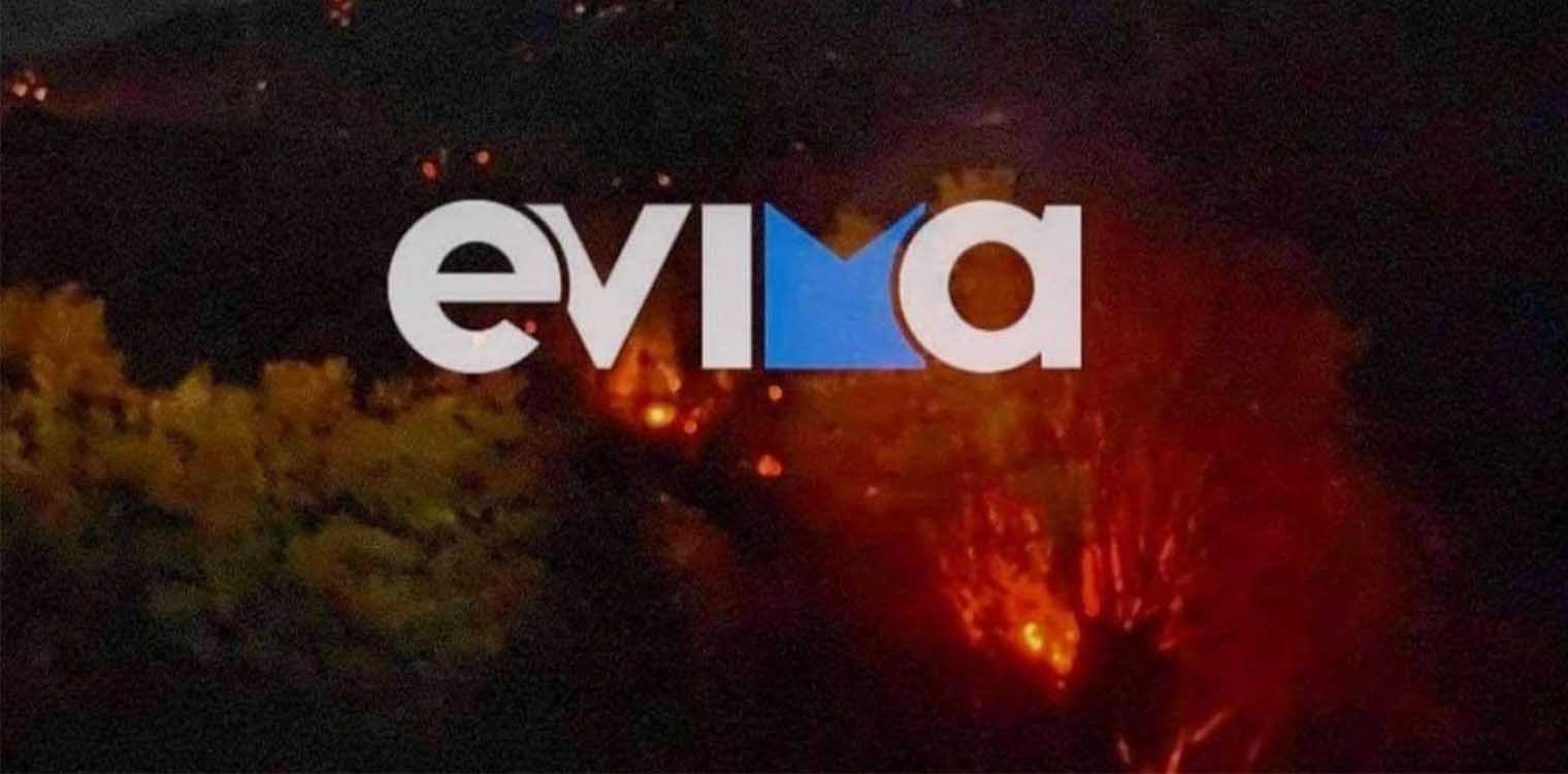 Μια σύλληψη για τη φωτιά στα Στύρα - Σε ύφεση όλα τα μέτωπα