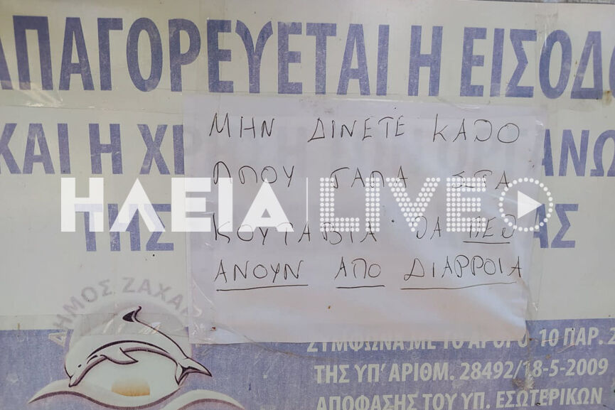 zaxaro adespota 4