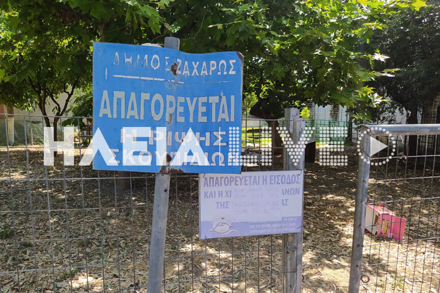 zaxaro adespota 5