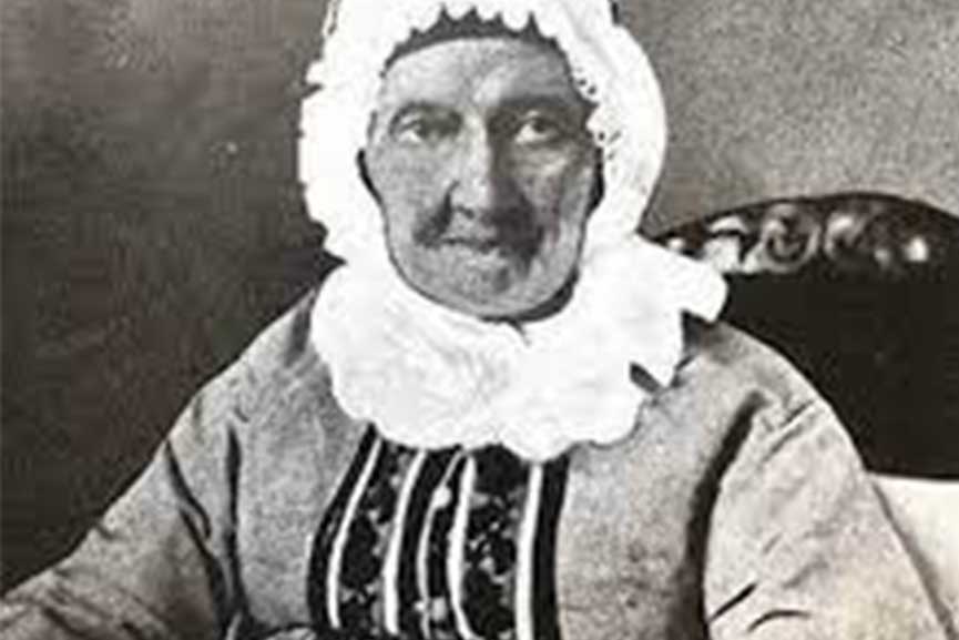 ginaikes 1821 2