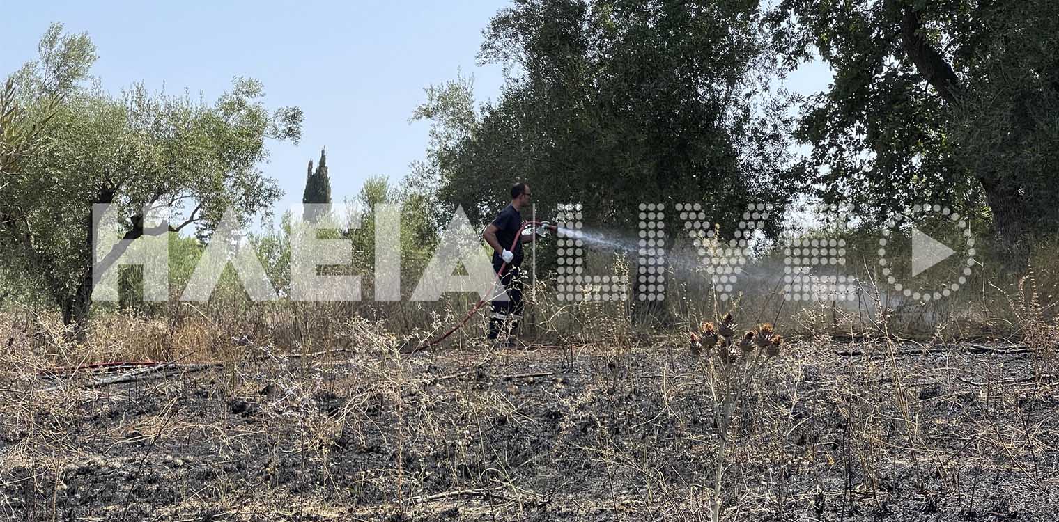 Πύργος: Πυρκαγιά σε δάσος στην περιοχή Πράσινο - Κατσαρού - Φωναϊτικα (photos - upd)