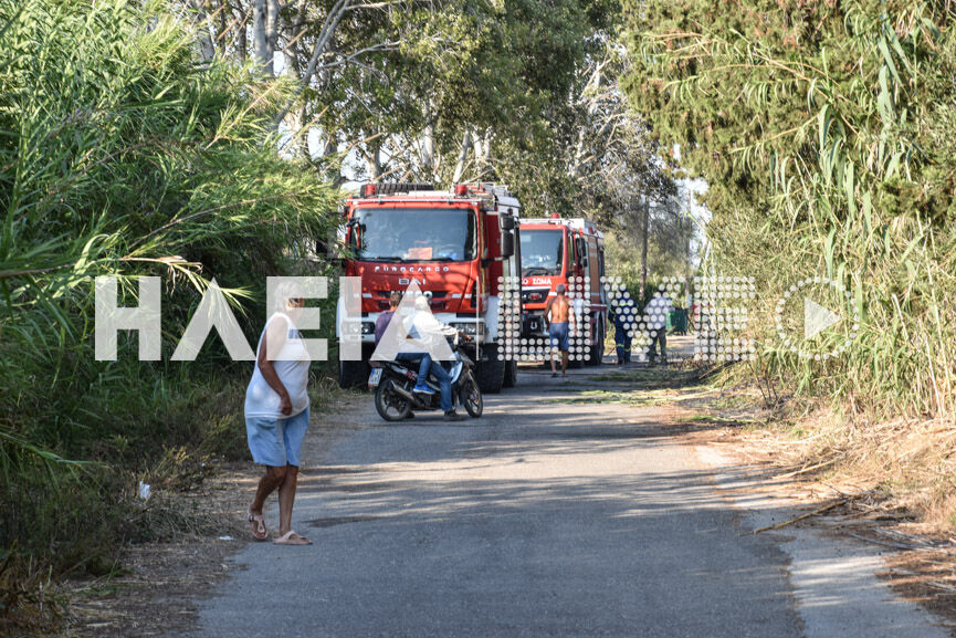 fotia lexaina 2