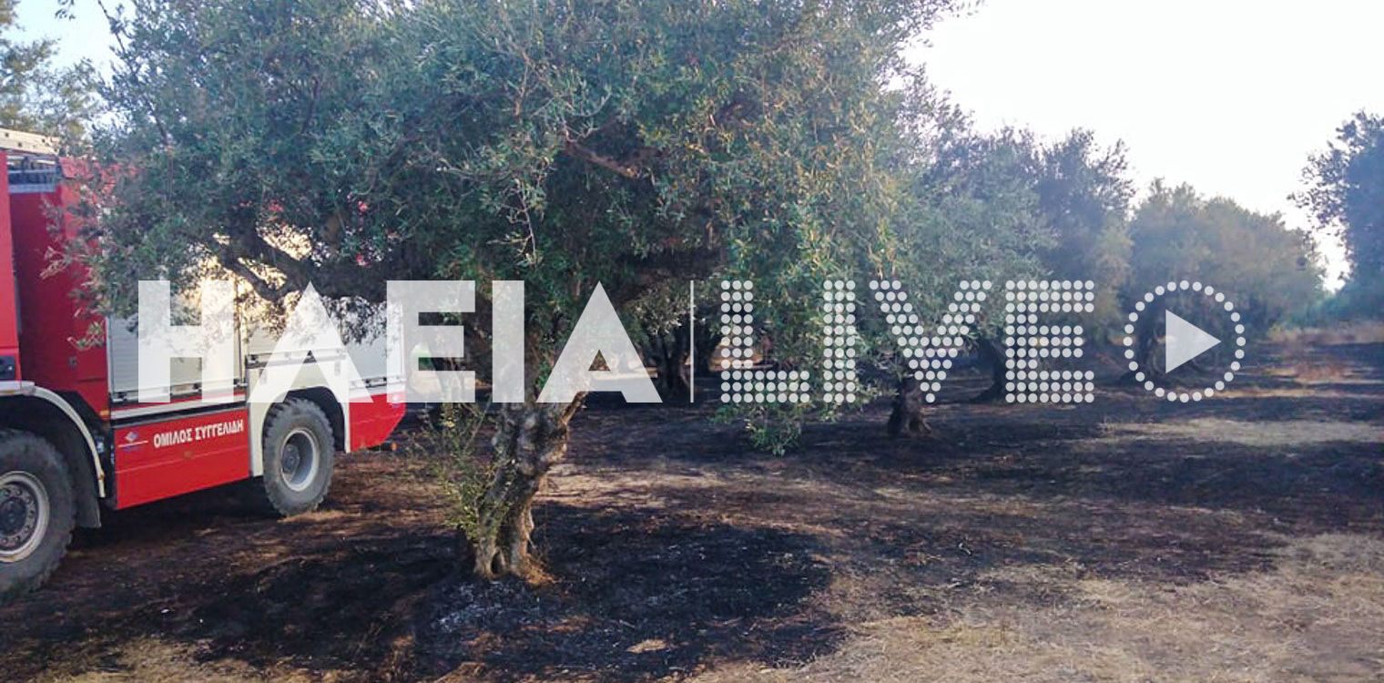 Λυγιά Βαρθολομιού: Πυρκαγιά έκαψε λιοστάσια και ένα αυτοκίνητο (photos &amp; video)