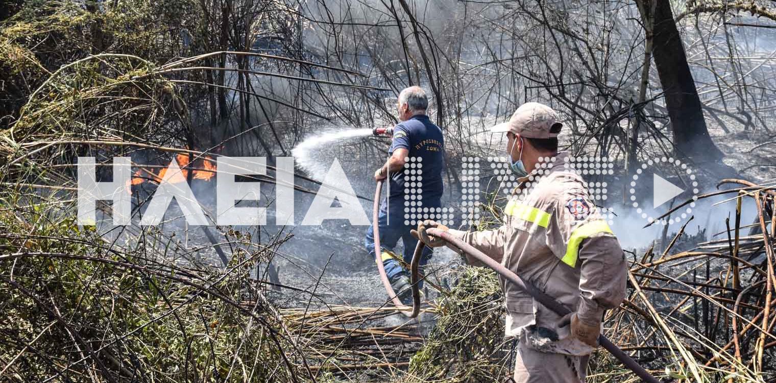 Μπρινιά Μανωλάδας: Πρόλαβαν τα χειρότερα οι πυροσβέστες