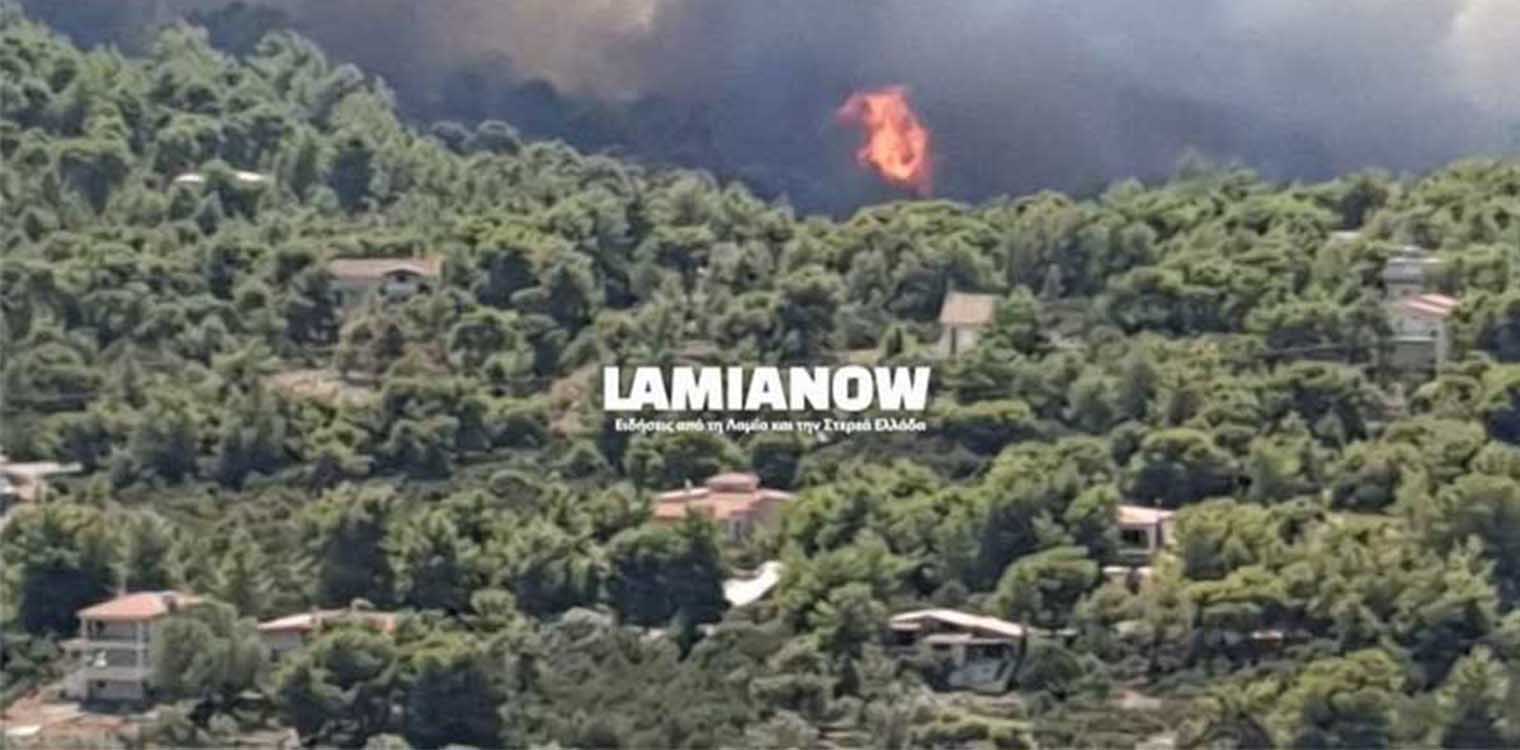Φθιώτιδα: Μεγάλη φωτιά στον ΟΣΜΑΕΣ στο Θεολόγο - Κύκλωσε σπίτια, δόθηκε εντολή εκκένωσης (video)