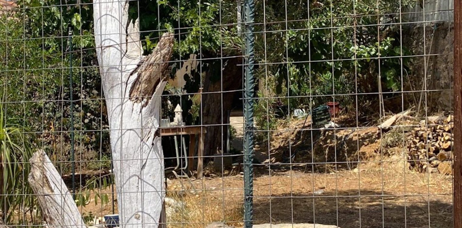 Σοκ στις Μαντίνειες! Άνδρας μαχαίρωσε και σκότωσε την ηλικιωμένη μητέρα του