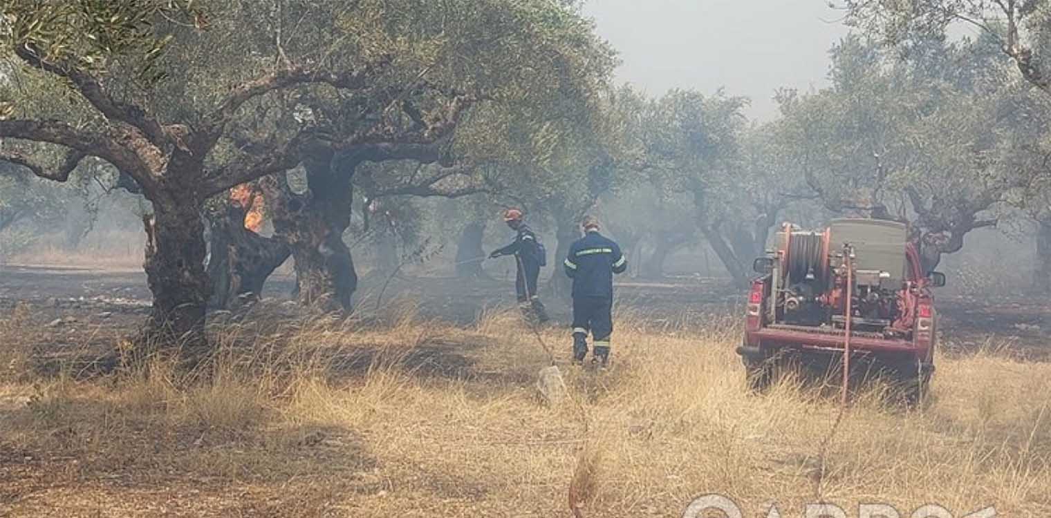 Φωτιά Μεσσηνία: Εντολή εκκένωσης σε Διαβολίτσι και Άνω – Κάτω Μέλπεια