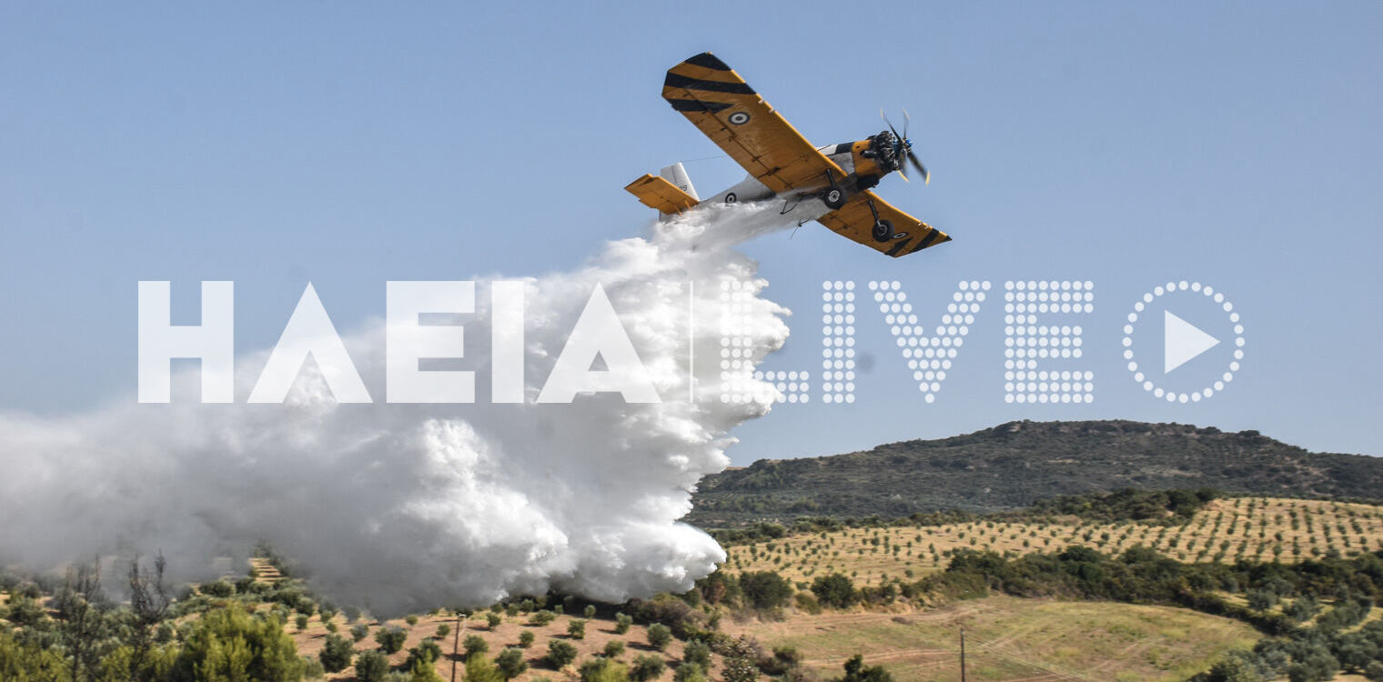 Ηλεία: Συναγερμός για πυρκαγιά στην Αγ. Άννα δήμου Πύργου (photos)