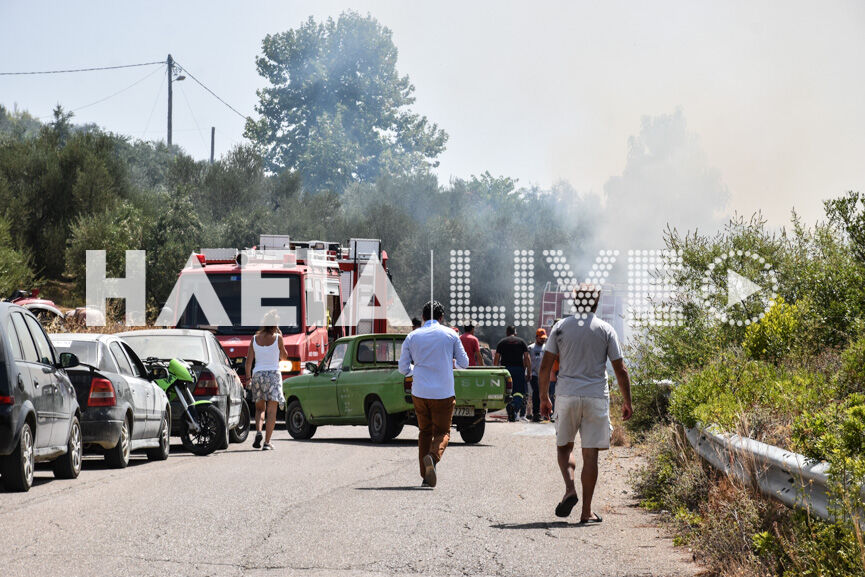 fotia kaukania 2