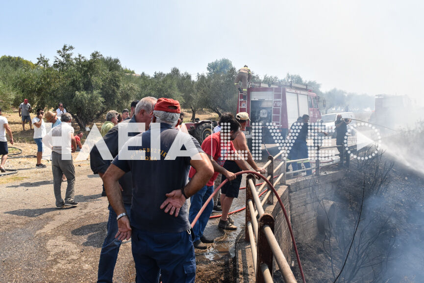 fotia kaukania 3